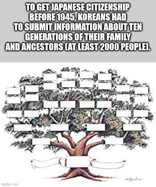 family tree chart - To Get Japanese Citizenship Before 1945, Koreans Had To Submit Information About Ten Generations Of Their Family And Ancestors At Least 2000 People. imgflip.com