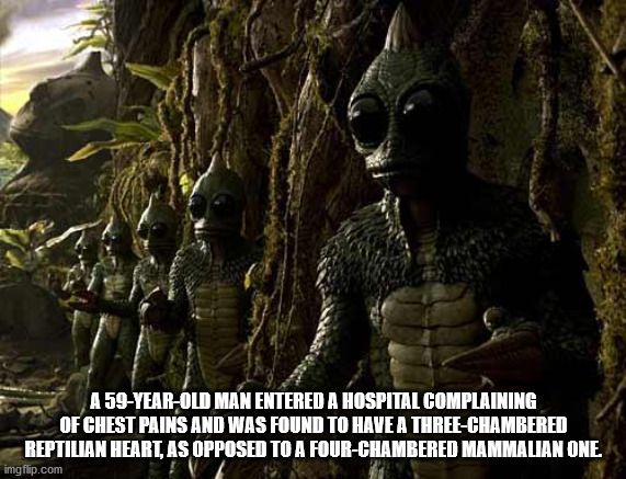 Land of the Lost - A 59YearOld Man Entered A Hospital Complaining Of Chest Pains And Was Found To Have A ThreeChambered Reptilian Heart, As Opposed To A FourChambered Mammalian One imgflip.com