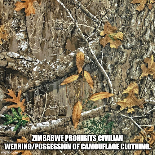 fauna - Sao Bdo Zimbabwe Prohibits Civilian WearingPossession Of Camouflage Clothing. imgflip.com