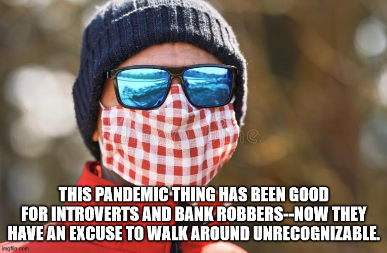 photo caption - This Pandemic Thing Has Been Good For Introverts And Bank RobbersNow They Have An Excuse To Walk Around Unrecognizable. imgflip.com