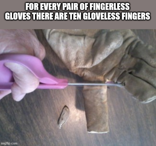 league of legends meme - For Every Pair Of Fingerless Gloves There Are Ten Gloveless Fingers imgflip.com