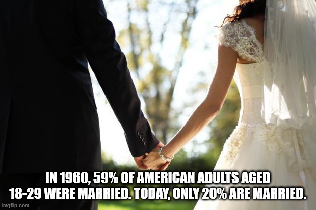 In 1960,59% Of American Adults Aged 1829 Were Married. Today, Only 20% Are Married. imgflip.com