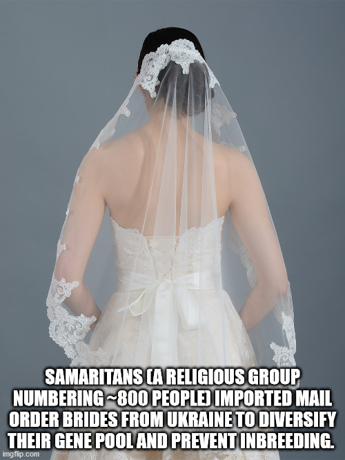 gta san andreas - Samaritans A Religious Group Numbering800 People Imported Mail Order Brides From Ukraine To Diversify Their Gene Pool And Prevent Inbreeding. imgflip.com