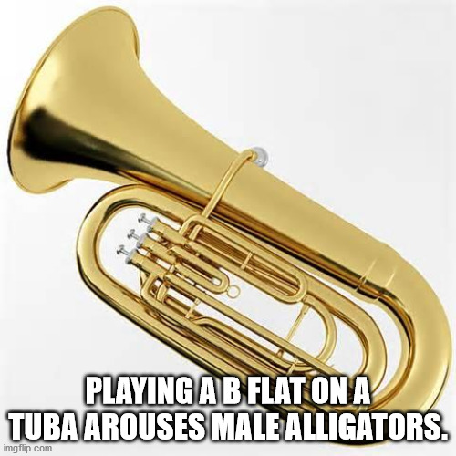 tuba 3d model free - Playing A B Flat On A Tuba Arouses Male Alligators. imgflip.com