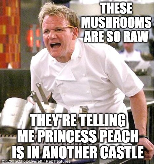 gordon ramsay blank meme - These Mushrooms Are So Raw They'Re Telling Me Princess Peach Is In Another Castle img.con FoxEverettRex Features