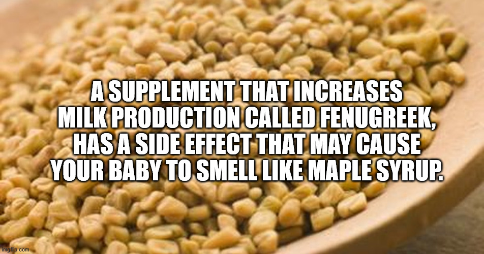 body heat home remedies - Asupplement That Increases Milk Production Called Fenugreek, Has A Side Effect That May Cause Your Baby To Smell Maple Syrup. Imgflip.com