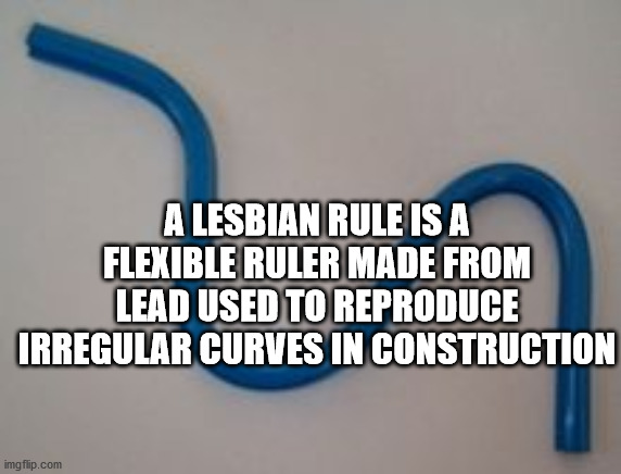 last night was a blur - A Lesbian Rule Is A Flexible Ruler Made From Lead Used To Reproduce Irregular Curves In Construction imgflip.com