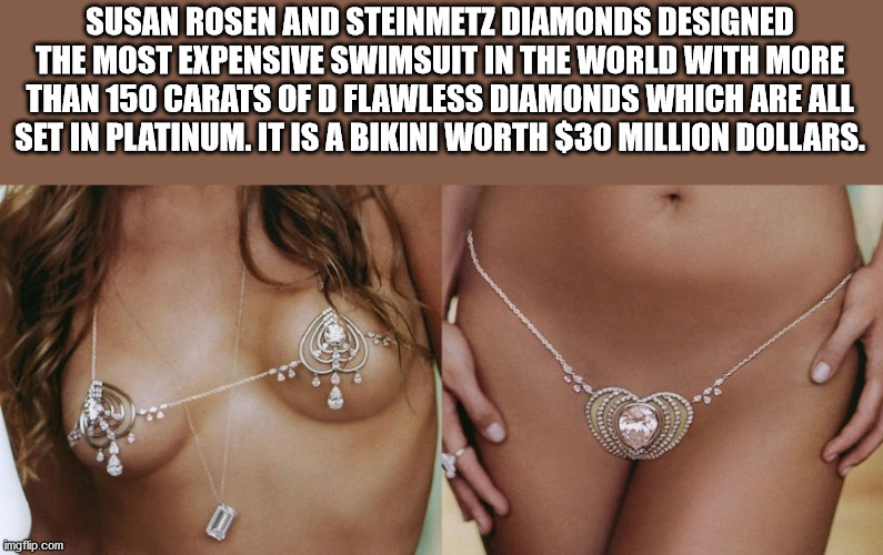 molly sims diamond - Susan Rosen And Steinmetz Diamonds Designed The Most Expensive Swimsuit In The World With More Than 150 Carats Of D Flawless Diamonds Which Are All Set In Platinum. It Is A Bikini Worth $30 Million Dollars. imgflip.com
