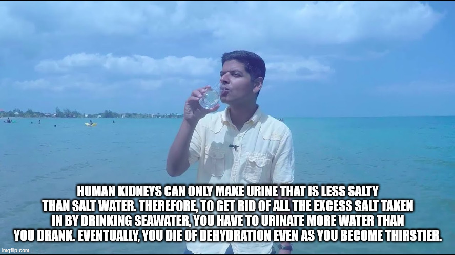 water - Human Kidneys Can Only Make Urine That Is Less Salty Than Salt Water. Therefore, To Get Rid Of All The Excess Salt Taken In By Drinking Seawater, You Have To Urinate More Water Than You Drank. Eventually, You Die Of Dehydration Even As You Become…