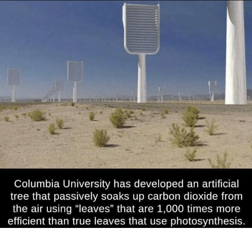 columbia university has developed an artificial tree that passively soaks up carbon dioxide from the air using leaves - Columbia University has developed an artificial tree that passively soaks up carbon dioxide from the air using "leaves" that are 1,000 