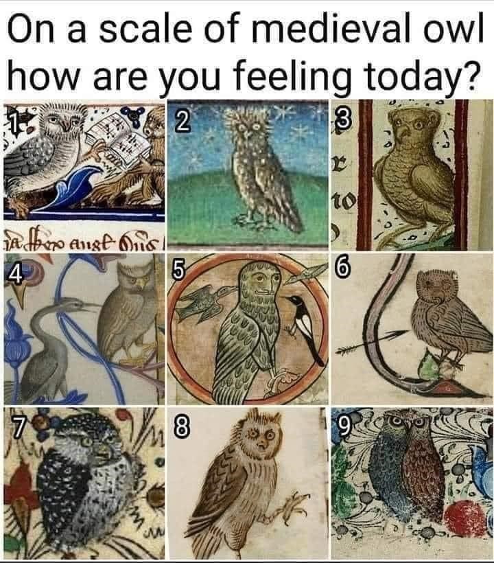 medieval owl are you - On a scale of medieval owl how are you feeling today? 2 3 les to Afro Ang Dios 4 5 6 Uus 8 92 como 3