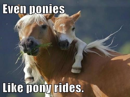 Even ponies pony rides.