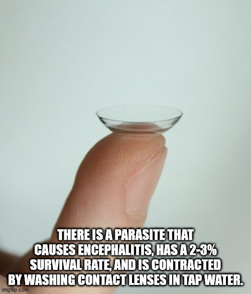 last night was a blur - There Is A Parasite That Causes Encephalitis, Has A 23% Survival Rate, And Is Contracted By Washing Contact Lenses In Tap Water. imgflip.com