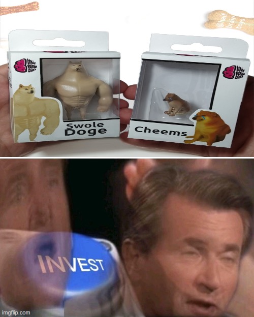 invest meme - ? B Swole Doge Cheems Invest imgflip.com