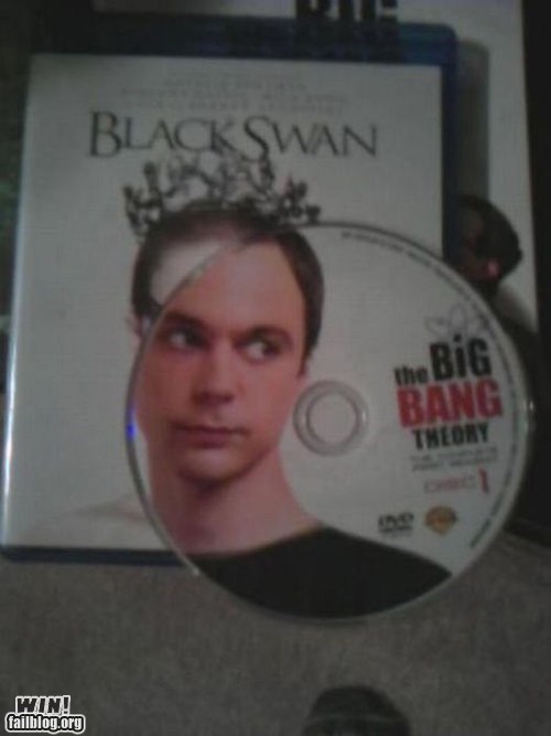 big bang theory season 1 - Black Swan the the Big Bang Theory Win! failblog.org