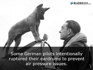 pet - Raise Some German pilots intentionally ruptured their eardrums to prevent air pressure issues.