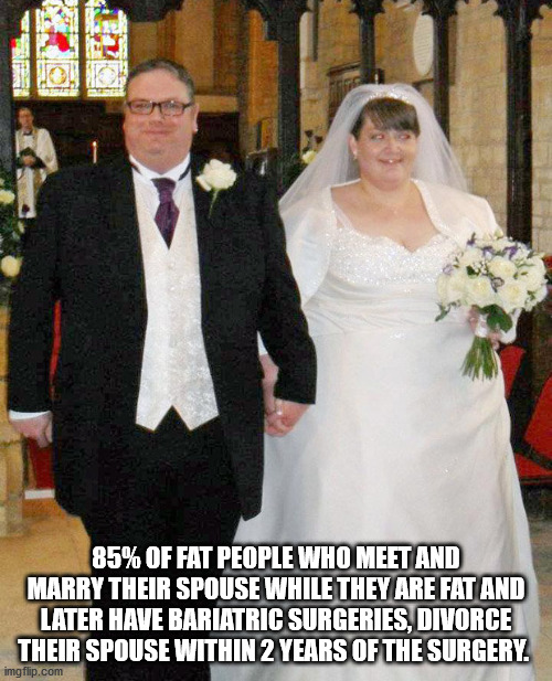 gown - 85% Of Fat People Who Meet And Marry Their Spouse While They Are Fat And Later Have Bariatric Surgeries, Divorce Their Spouse Within 2 Years Of The Surgery. imgflip.com