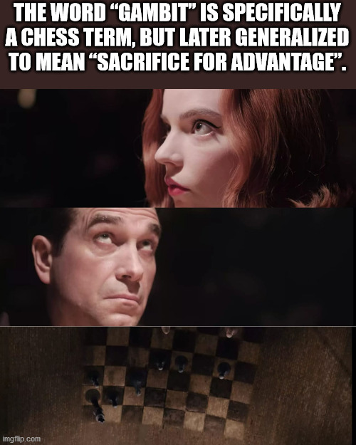 photo caption - The Word Gambit" Is Specifically A Chess Term, But Later Generalized To Mean Sacrifice For Advantage. imgflip.com