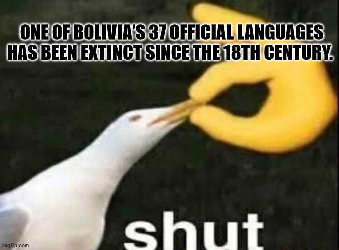 shut bird - One Of Bolivia'S 37 Official Languages Has Been Extinct Since The 18TH Century shut imgflip.com