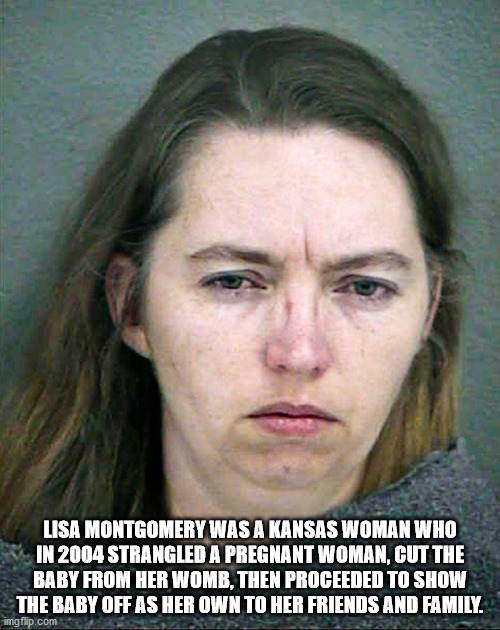Lisa Montgomery Was A Kansas Woman Who In 2004 Strangled A Pregnant Woman, Cut The Baby From Her Womb, Then Proceeded To Show The Baby Off As Her Own To Her Friends And Family. imgflip.com