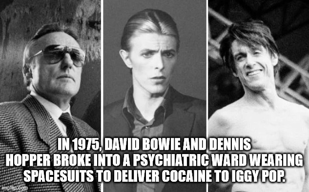 gentleman - In 1975, David Bowie And Dennis Hopper Broke Into A Psychiatric Ward Wearing Spacesuits To Deliver Cocaine To Iggy Pop. imgflip.com