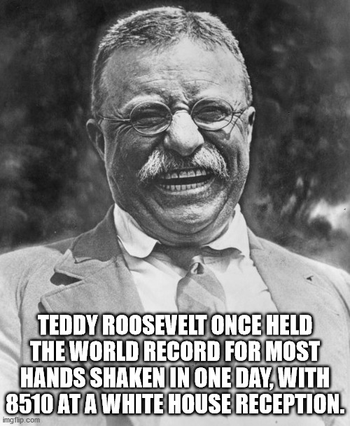 teddy roosevelt - Teddy Roosevelt Once Held The World Record For Most Hands Shaken In One Day, With 8510 At A White House Reception. imgflip.com