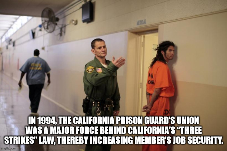 staff - Pa Oie D In 1994, The California Prison Guard'S Union Was A Major Force Behind California'S "Three Strikes" Law, Thereby Increasing Member'S Job Security. imgflip.com