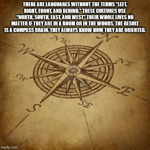 old compass rose - There Are Languages Without The Terms Left, Right, Front, And Behind." These Cultures Use "North, South, East, And West Their Whole Lives No Matter If They Are In A Room Or In The Woods. The Result Is A Compass Brain. They Always Know H