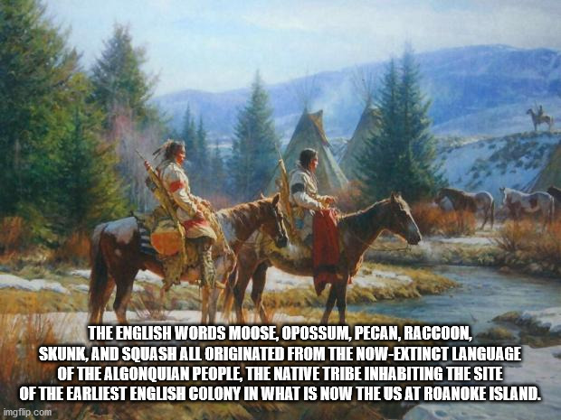 art native american - St The English Words Moose, Opossum, Pecan, Raccoon, Skunk, And Squash All Originated From The NowExtinct Language Of The Algonquian People, The Native Tribe Inhabiting The Site Of The Earliest English Colony In What Is Now The Us At