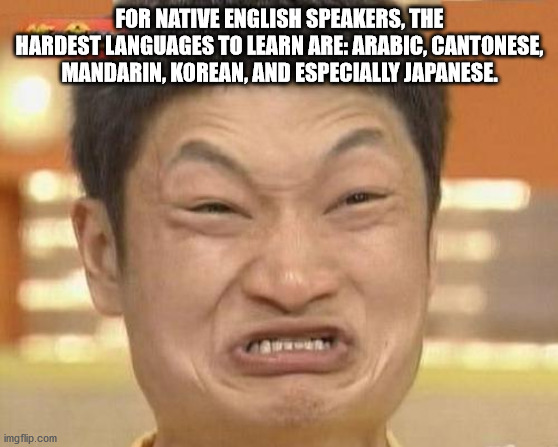 sister memes clean - For Native English Speakers, The Hardest Languages To Learn Are Arabic, Cantonese, Mandarin, Korean, And Especially Japanese. imgflip.com