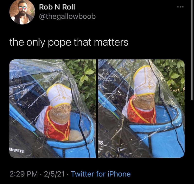 water - Rob N Roll the only pope that matters Ts. En Pets 2521 Twitter for iPhone