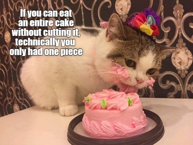 kittens and birthday cake - If you can eat an entire cake without cutting it, technically you only had one piece