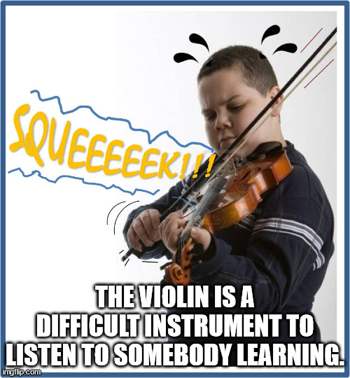 violin - Squeeeeek! The Violin Is A Difficult Instrument To Listen To Somebody Learning. imgflip.com