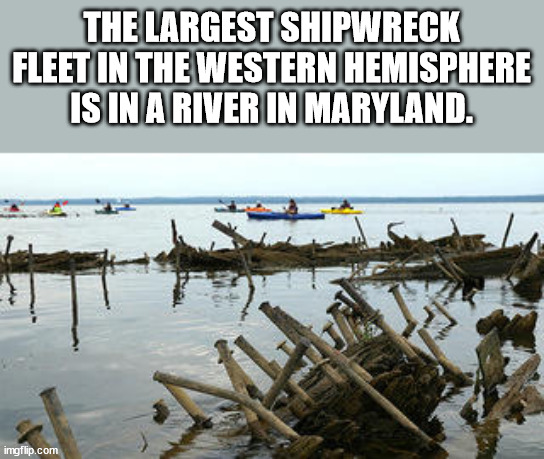 wood - The Largest Shipwreck Fleet In The Western Hemisphere Is In A River In Maryland. imgflip.com