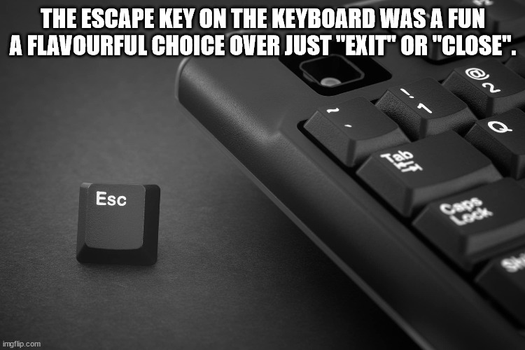 interesting man in the world - The Escape Key On The Keyboard Was A Fun A Flavourful Choice Over Just "Exit" Or "Close". en Q alo Esc imgflip.com