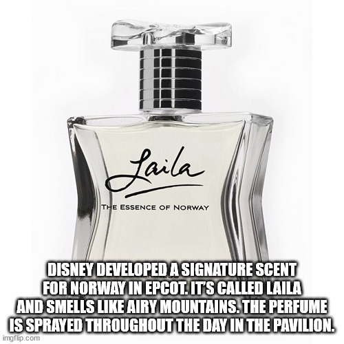 mamadou niang - Laila The Essence Of Norway Disney Developed A Signature Scent For Norway In Epcot. It'S Called Laila And Smells Airy Mountains. The Perfume Is Sprayed Throughout The Day In The Pavilion. imgflip.com