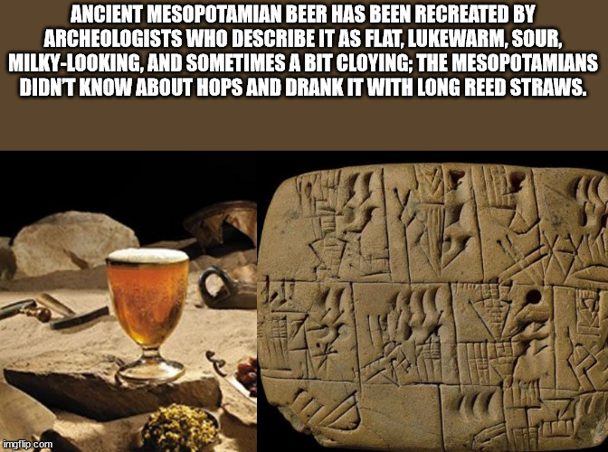 craft beer ingredients - Ancient Mesopotamian Beer Has Been Recreated By Archeologists Who Describe It As Flat, Lukewarm, Sour, MilkyLooking, And Sometimes A Bit Cloying; The Mesopotamians Didnt Know About Hops And Drank It With Long Reed Straws. He imgfl