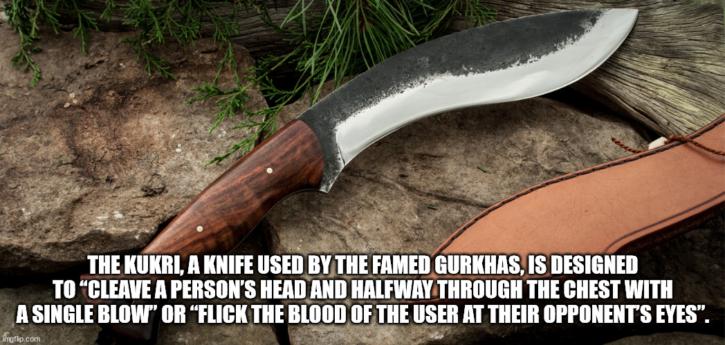 knife - The Kukri, A Knife Used By The Famed Gurkhas, Is Designed To Cleave A Person'S Head And Halfway Through The Chest With A Single Blow Or Flick The Blood Of The User At Their Opponent'S Eyes". imgflip.com