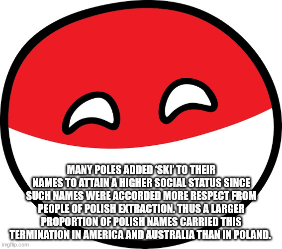 smile - Many Poles Added 'Ski' To Their Names To Attain A Higher Social Status Since Such Names Were Accorded More Respect From People Of Polish Extraction. Thus A Larger Proportion Of Polish Names Carried This Termination In America And Australia Than In