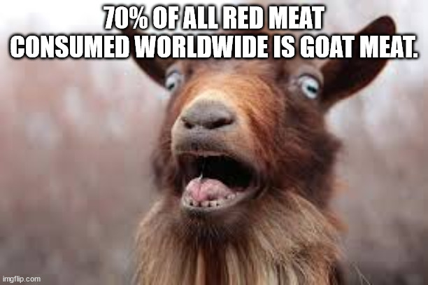 psychedelic goat - 70%Of All Red Meat Consumed Worldwide Is Goat Meat. imgflip.com