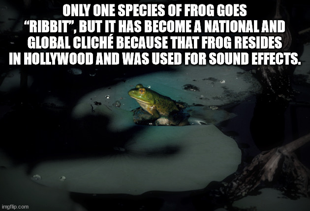 antarctica sub zero - Only One Species Of Frog Goes "Ribbit", But It Has Become A National And Global Clich Because That Frog Resides In Hollywood And Was Used For Sound Effects. imgflip.com