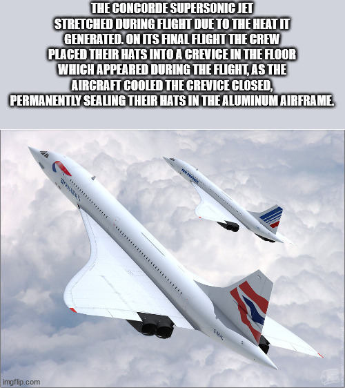 concorde plane - The Concorde Supersonic Jet Stretched During Flight Due To The Heat It Generated. On Its Final Flight The Crew Placed Their Hats Into A Crevice In The Floor Which Appeared During The Flight, As The Aircraft Cooled The Crevice Closed, Perm