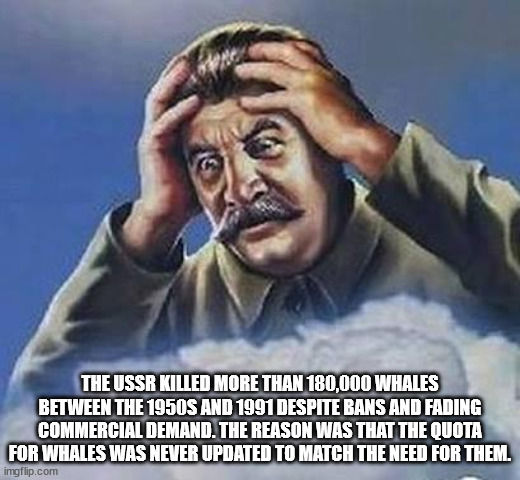 communism memes - The Ussr Killed More Than 180,000 Whales Between The 1950S And 1991 Despite Bans And Fading Commercial Demand. The Reason Was That The Quota For Whales Was Never Updated To Match The Need For Them. imgflip.com