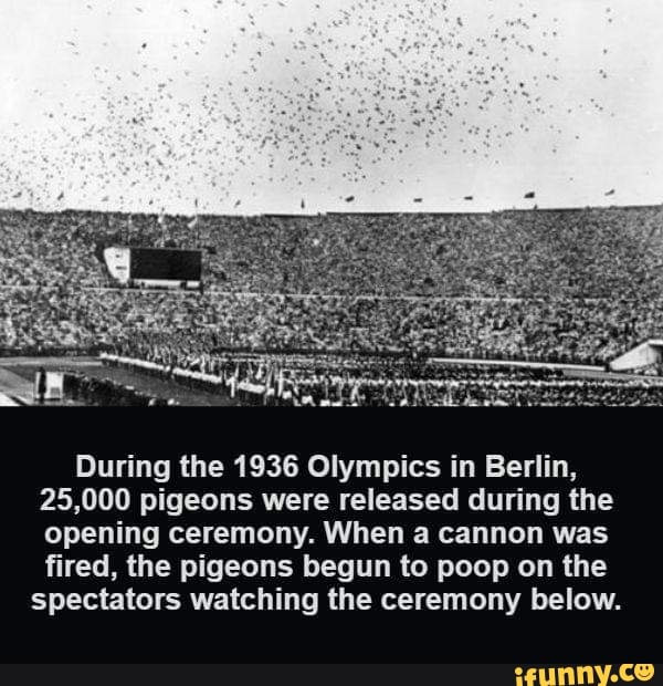 water resources - During the 1936 Olympics in Berlin, 25,000 pigeons were released during the opening ceremony. When a cannon was fired, the pigeons begun to poop on the spectators watching the ceremony below. ifunny.co