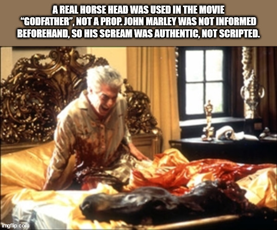 dish - A Real Horse Head Was Used In The Movie "Godfather", Not A Prop. John Marley Was Not Informed Beforehand, So His Scream Was Authentic, Not Scripted. imgflip.com