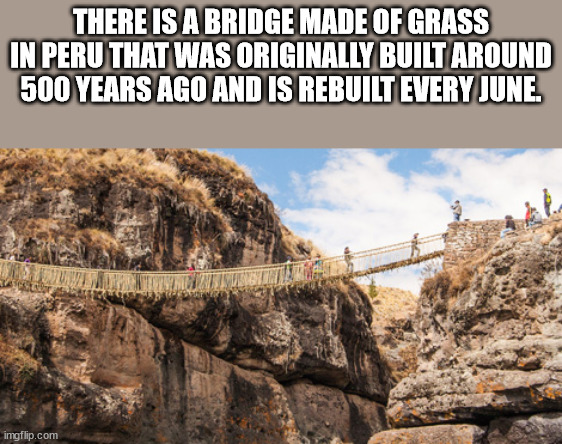 There Is A Bridge Made Of Grass In Peru That Was Originally Built Around 500 Years Ago And Is Rebuilt Every June. imgflip.com