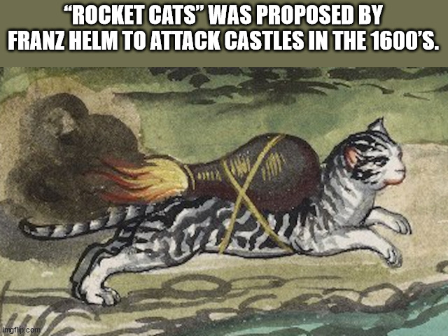 cats at 3am im fast - "Rocket Cats" Was Proposed By Franz Helm To Attack Castles In The 1600'S. imgflip.com