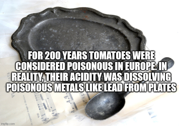 ubaid - For 200 Years Tomatoes Were Considered Poisonous In Europe. In Reality, Their Acidity Was Dissolving Poisonous Metals Lead From Plates In Pisfaccato Vi imgflip.com