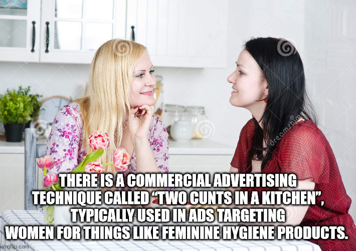 friendship - . cherrer dreamstimg There Is A Commercial Advertising Technique Called Two Cunts In A Kitchen, Typically Used In Ads Targeting Women For Things Feminine Hygiene Products. imgflip.com