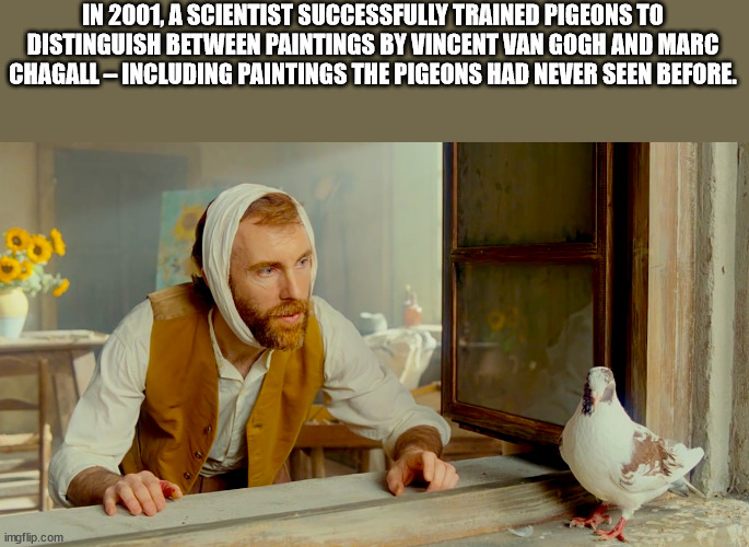 photo caption - In 2001, A Scientist Successfully Trained Pigeons To Distinguish Between Paintings By Vincent Van Gogh And Marc ChagallIncluding Paintings The Pigeons Had Never Seen Before. imgflip.com